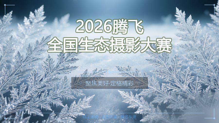 2026腾飞全国生态摄影大赛