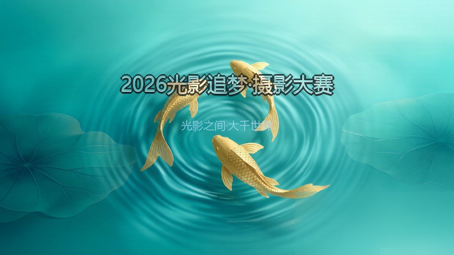 2026光影追梦·摄影大赛